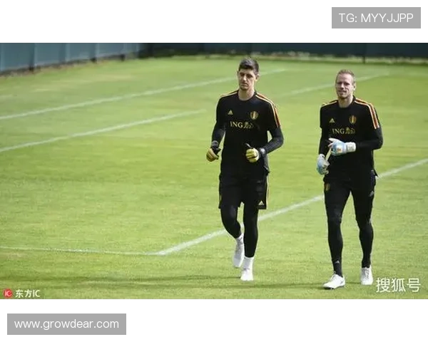 比利时队美友谊赛遭停机坪安检